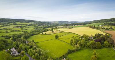 rolling hills and blue skies