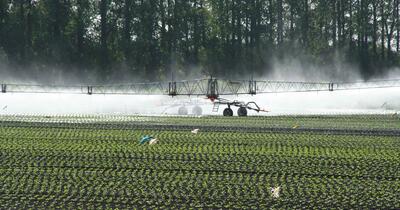 Farm machinery spraying crops